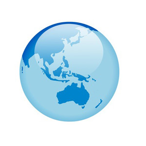 International Professional Website