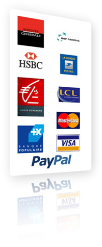 Payment Method: Paypal and banks