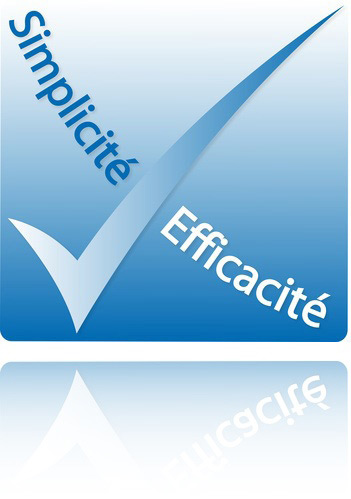 Professional Website Simple and Efficient