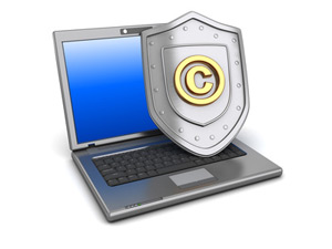 Intellectual Property Rights Protection for Professional Website