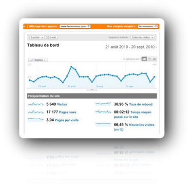 Statistics of visits for an optimized professional website